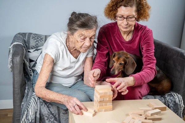 Elder woman and her adult daughter together with dachshund dog spend time together at home playing board game collecting wooden blocks in tower. Jenga game. Theme is dementia and alzheimer\'s.