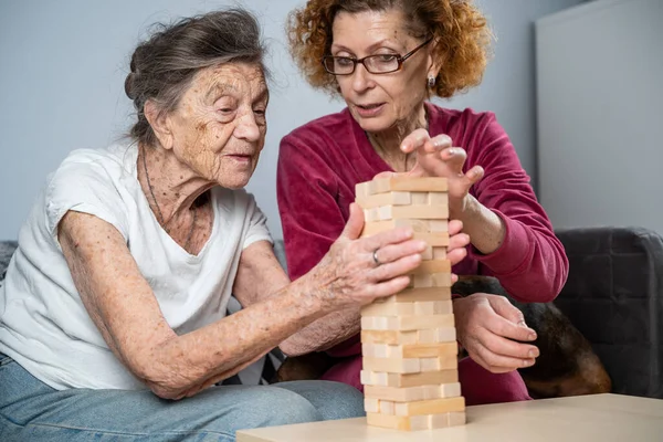 Demenztherapie Sozialarbeiterin Und Hund Spielen Pflegeheim Ein Pädagogisches Brettspiel Mit — Stockfoto
