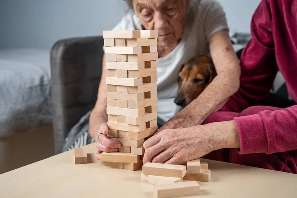 Emekli anne ve kızı evde birlikte vakit geçirir, masa oyunu oynar ve dachshund köpeği okşarlar. Kafkas kıdemli kadın bakım evinde gönüllü asistanı olan ahşap bloklardan bir kule inşa ediyor..