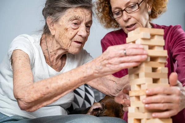 Thérapie Démence Travailleur Social Chien Joue Jeu Société Éducatif Avec — Photo