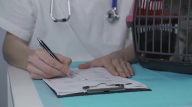 Erkek veteriner, klinikteki muayene masasında hayvan taşıyan İskoç heteroseksüel kedi yavrusunun sağlık kontrolü hakkında notlar alıyor. Veterinerlik, tekir kedinin yanındaki panoda. Sağlık hayvanlarını kontrol et