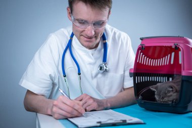 Erkek veteriner, klinikteki muayene masasında hayvan taşıyan İskoç heteroseksüel kedi yavrusunun sağlık kontrolü hakkında notlar alıyor. Veterinerlik, tekir kedinin yanındaki panoda. Sağlık hayvanlarını kontrol et.