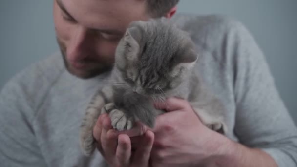 Kaukasischer junger Mann genießt die Zeit mit Haustieren, Umarmungen und Kuscheln auf dem Hintergrund einer grauen Wand im Atelier. Thema ist der Schutz, die Obhut und Pflege der Tiere. Männlich liebhaber von Scottish straight cat — Stockvideo