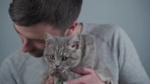 Giovane uomo abbraccia il suo amato gatto dritto scozzese di colore grigio contro il muro in studio. Il proprietario del gattino mostra emozioni e cura per il suo animale domestico su sfondo grigio. Amante degli animali. Amicizia concetto — Video Stock