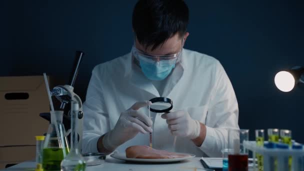 生肉を調べる虫眼鏡付きの研究室アシスタント。毒の検出。化学実験室でGMO鶏の試験を行う。虫眼鏡、製品の品質が、肉のサンプルを見て男 — ストック動画