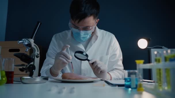 Biólogo mirando la muestra de carne a través de lupa, certificación de alimentos. Control de calidad de la carne. Concepto de comida saludable. Organismo modificado genéticamente. Pollo transgénico. Tema Ciencia alimentaria — Vídeo de stock