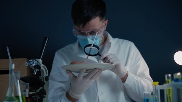 Professional lab worker looking at meat sample through magnifier. Laboratory assistant checks quality of meat at laboratory. Look at chicken through magnifier glass. Meat quality control — Stock Video
