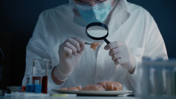 Professionelle Labormitarbeiterin betrachtet Fleischprobe durch Lupe. Laborassistentin überprüft Fleischqualität im Labor Schauen Sie Hühner durch die Lupe an. Fleischqualitätskontrolle — Stockvideo