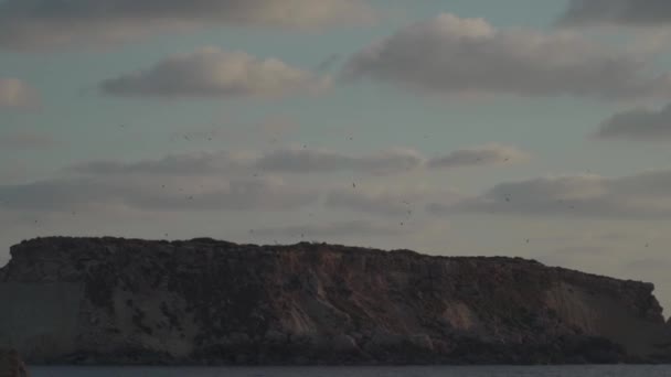 Кипр красивый живописный вид на остров Агиос Георгиос вечером на закате. Акамас. Церковь и порт Агиос Георгиос, Акамас, Пафос, Кипр — стоковое видео
