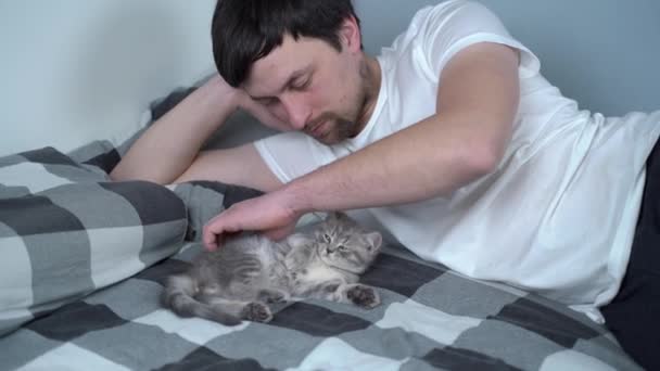 Kaukázusi srác ölelkezik szürke skót heteró macskával az ágyban. Férfi macska szerető játszik kismacska feküdt az ágyban. Barátságos kis háziállat sütkérezés a tulajjal. Tabby cica férfival otthon — Stock videók