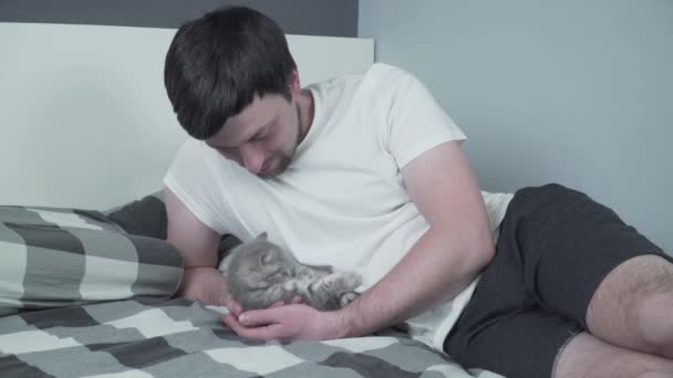 Tema este dragostea, îngrijirea și protecția animalelor de companie. Bărbat basking în pat cu copil gri Scottish Straight pisica. Îmbrățișări masculine și lovituri de pisică acasă în dormitor. Iubitorul de pisici își protejează ușor animalul de companie care adoarme — Videoclip de stoc