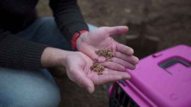 Il proprietario maschio dell'animale domestico è molto rattristato dalla morte del gatto seduto nella foresta prima della sepoltura, il maschio saluta il suo migliore amico animale e tiene in mano i suoi giocattoli e il cibo preferiti. Tema Death pet — Video Stock