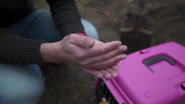 Verontrustende mannelijke eigenaar van dood huisdier neemt afscheid van het dier voor de begrafenis in het bos, zit zij aan zij met de drager en houdt katten favoriete voedsel in zijn handen. Thema is de dood van huisdier. Onbetaalbare momenten — Stockvideo