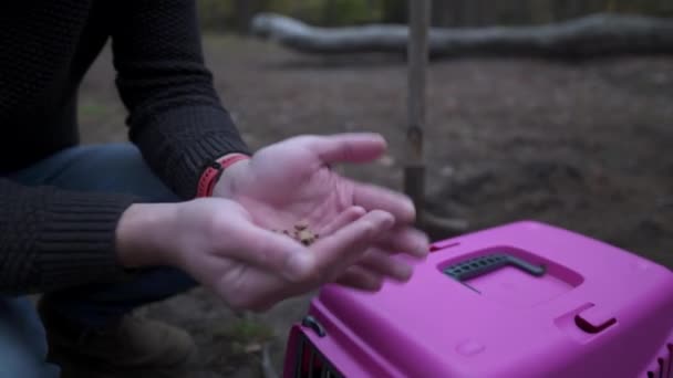 Tema es la muerte y la difícil despedida a la mascota mejor amigo. Hombre se sienta al lado del cuerpo de gato en el portador de animales antes del funeral y mentalmente pide perdón mientras sostiene la comida animal en sus manos — Vídeo de stock