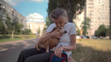 90 yaşında, kır saçlı ve kırışıklıkları olan son sınıf öğrencisi bir kadın dışarıda küçük bir köpekle birlikte bankta oturuyor. Yaşlı kadınlar parkta bir bankta evcil hayvanlara sarılır..