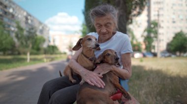Hayvan teması, yalnız, yaşlı bir kadının en iyi arkadaşı. Kafkasyalı 90 yaşındaki son sınıf öğrencisi dişi, evcil köpeğiyle vakit geçirmekten mutlu, onu kollarına alıyor, kucaklıyor ve dışarıda öpüşüyor..