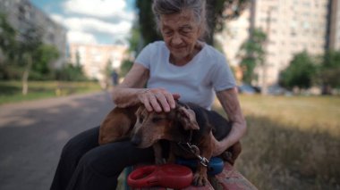 Mutlu son sınıf öğrencisi kadın kollarında küçük bir köpek tutuyor, gülümsüyor, sarılıyor, baskı yapıyor ve parkta bir bankta evcil hayvanına sevgisini gösteriyor. 90 yaşındaki kadın en iyi arkadaşıyla sokakta vakit geçirir..