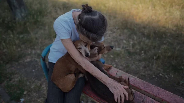 Femeie Vârstă Fericită Deține Câine Mic Dachshund Brațe Zâmbește Îmbrățișări — Fotografie, imagine de stoc