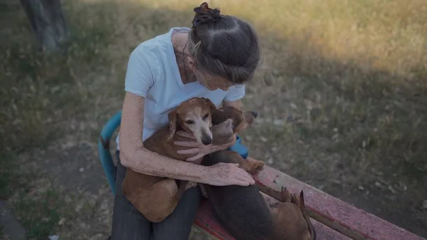Щаслива Старша Жінка Тримає Маленького Собаку Руках Посміхається Обіймами Пресами — стокове фото