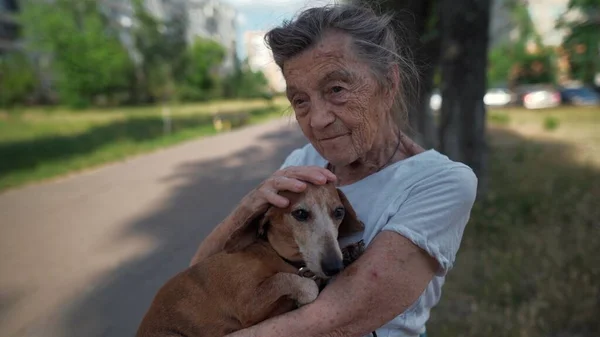 快乐的老妇人抱着一只小猎犬 微笑着拥抱 并在公园的长椅上向她的宠物示爱 90岁的女性在街上和她最好的朋友宠物呆在一起 — 图库照片