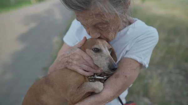 Tema Animalului Este Cea Mai Bună Prietenă Unei Femei Singure — Fotografie, imagine de stoc