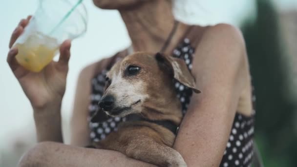 Donna anziana che riposa sulla panchina sul lungomare con folla di persone con piccolo cane bassotto tra le braccia e beve bevanda fredda con ghiaccio e paglia. Donna anziana e animale domestico in città bere succo di frutta in estate — Video Stock