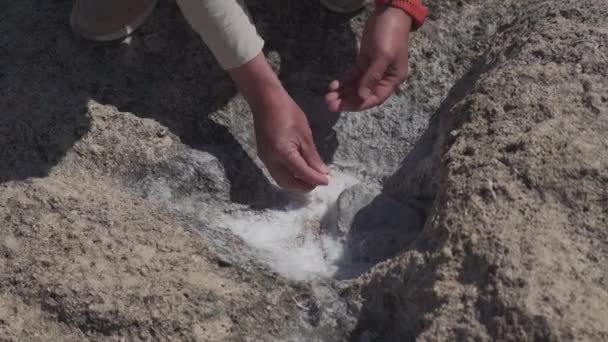 The topic is geology and research of crystals and rocks of natural origin. A male explorer takes samples of sea salt on a rock near the Mediterranean Sea on the island of Cyprus. Geologist at work — Stock Video