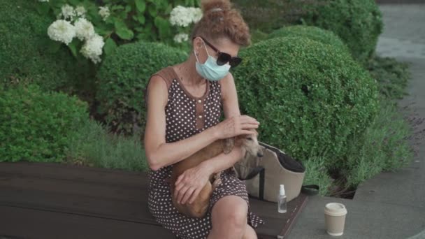 Une femme âgée solitaire masquée passe du temps avec un chien de compagnie assis sur le banc du parc près de chez elle, utilise un désinfectant pendant la quarantaine contre le coronavirus. Les personnes âgées dans le masque facial avec animal désinfecte les mains avec antiseptique — Video