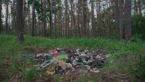 La contaminación ambiental y la amenaza ambiental de la pila de basura descartada en el hermoso bosque. Un desastre ecológico. Vertedero ilegal de basura en la naturaleza. Terrible vertedero en el bosque. Hoyo de basura en madera — Vídeo de stock