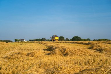 Yeni Hollanda Tarım sarısı, 25 Ağustos 2021 'de Fransa Bratny bölgesinde buğday hasadını birleştirdi. Buğday makası. Sahada birleşiyor. Avrupa 'da tarım temalı sanayi personeli.