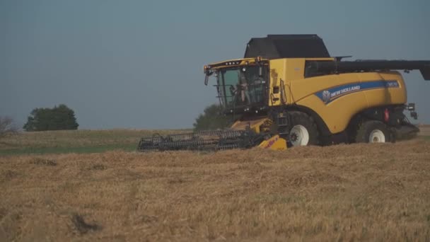 Nueva Holanda CX8080 en un campo en el soleado día de verano Francia, región de Bretaña 25 Agosto 2021. Amarillo combinar la cosecha en el campo de grano. Cosecha de verano. Cosecha en campo de grano. Nueva Holanda Agricultura — Vídeo de stock