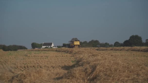 Gul skördetröska New Holland skördar moget vetefält. Jordbruk i Frankrike. Skörd är processen att samla in en mogen gröda från fälten. Frankrike, Bretagne-regionen — Stockvideo