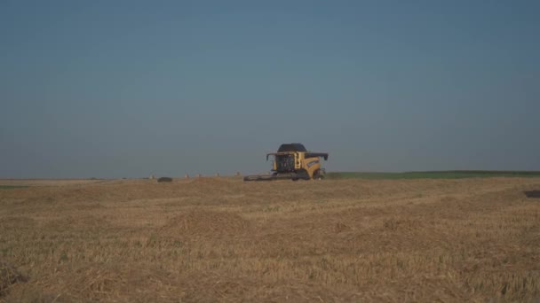 Nueva Holanda Agricultura amarillo combinar cosechas de trigo en Francia Bratny región on. Tijeras de trigo. Se combina en el campo. Personal industrial sobre un tema agrícola en Europa — Vídeos de Stock