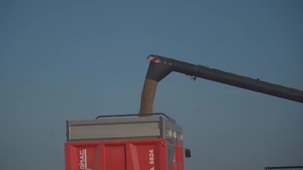 New Holland Agriculture yellow combine harvests wheat in France Bratny region on August 25, 2021 (en inglés). Tijeras de trigo. Se combina en el campo. Personal industrial sobre un tema agrícola en Europa — Vídeo de stock