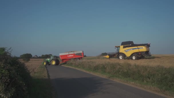 Sarı hasat işçisi New Holland olgun buğday tarlasını hasat ediyor. Fransa 'da tarım. Hasat, tarlalardan olgun mahsulleri toplama sürecidir. Fransa, Brittany bölgesi 25 Ağustos 2021 — Stok video