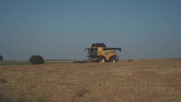 Sarı hasat işçisi New Holland olgun buğday tarlasını hasat ediyor. Fransa 'da tarım. Hasat, tarlalardan olgun mahsulleri toplama sürecidir. Fransa, Brittany bölgesi 25 Ağustos 2021 — Stok video