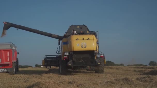 Nova Holanda CX8080 em um campo no dia ensolarado de verão França, região da Bretanha 25 de agosto de 2021. Colheita de combinação amarela no campo de grãos. Colheita. Colheita no campo de cereais. Nova Holanda Agricultura — Vídeo de Stock