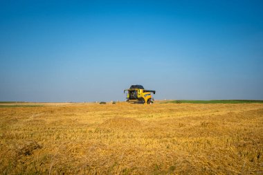 New Holland CX8080 güneşli bir yaz gününde Fransa, Brittany bölgesinde 25 Ağustos 2021. Sarı hasat tahıl tarlasında birleşiyor. Yaz hasadı. Tahıl tarlasında hasat. Yeni Hollanda Tarım.