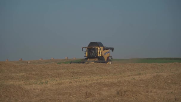 New Holland CX8080 auf einem Feld im sonnigen Sommertag Frankreich, Bretagne. Gelbe Mähdrescher auf einem Getreidefeld. Sommerernte. Ernte auf einem Getreidefeld. Neue holländische Landwirtschaft — Stockvideo