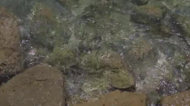 Rocky coast and waves of the Mediterranean Sea off coast of Cyprus near the city of Paphos in summer in good weather. Wet stones near mediterranean sea. Amazing nature seascape with rocky seacoast — Stock Video