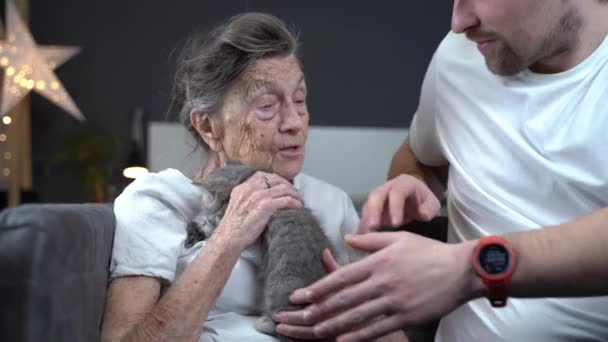 El tema es la ayuda y el apoyo psicológico para las personas mayores en hogares de ancianos con la ayuda de animales. Asistente voluntaria con la mujer mayor acariciando gatito lindo en el sofá. Cuidador de anciana con mascota — Vídeo de stock