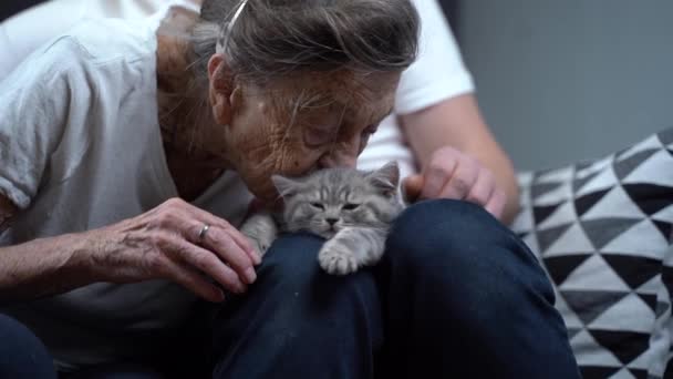 Tematem jest pomoc i wsparcie psychologiczne dla osób starszych w domu opieki przy pomocy zwierząt. Asystentka wolontariuszki ze starszą kobietą głaskającą słodkiego kotka na kanapie. Opiekun starszej kobiety ze zwierzętami domowymi — Wideo stockowe