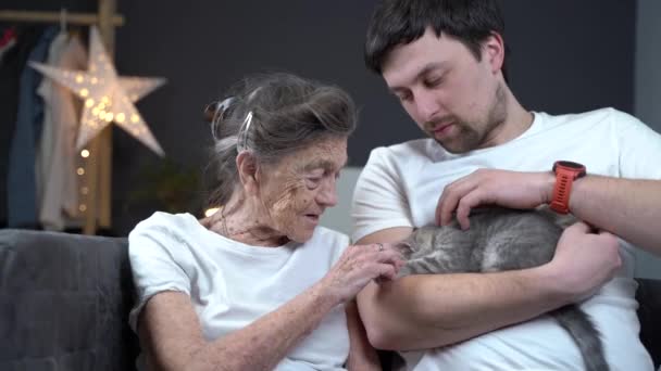 Argomento è l'aiuto e il supporto psicologico per gli anziani in casa di cura con l'aiuto di animali. Assistente volontario con donna anziana accarezzando carino gattino sul divano. Badante di anziana femmina con animale domestico — Video Stock