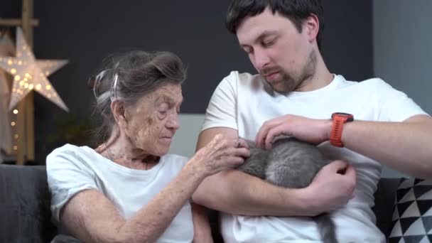 Djurterapi. En äldre person och vårdgivare som får psykologiskt stöd med husdjur på ett vårdhem. Den äldre kvinnan är mycket glad och stryker en söt kattunge med en assistent på soffan — Stockvideo