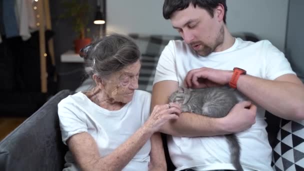Tematem jest pomoc i wsparcie psychologiczne dla osób starszych w domu opieki przy pomocy zwierząt. Asystentka wolontariuszki ze starszą kobietą głaskającą słodkiego kotka na kanapie. Opiekun starszej kobiety ze zwierzętami domowymi — Wideo stockowe