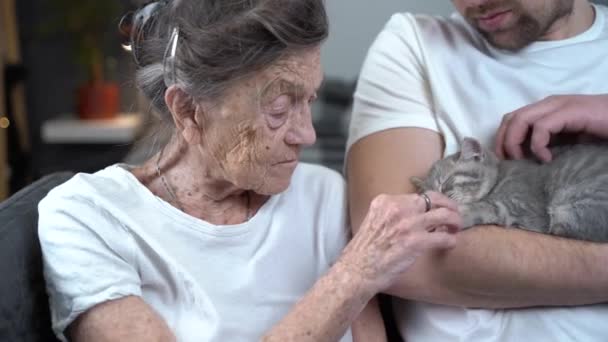 Terapia animal. Una persona anciana y cuidadora que recibe apoyo psicológico utilizando mascotas en un hogar de ancianos. La mujer mayor es muy feliz y acaricia a un lindo gatito con un asistente en el sofá — Vídeos de Stock