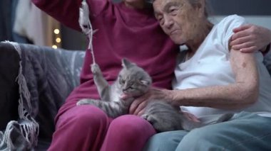 Kedi terapisi. Olgun kız, huzurevinde yaşlı anneyi ziyaret eder, onunla ve kanepede kedi yavrusuyla oynar. Yaşlı kadın gri İskoç heteroseksüel kedi yavrusuyla eğleniyor. Evcil hayvan ve aile.