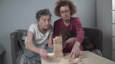 Yaşlı kadın ve yetişkin kızı dachshund köpeği ile birlikte evde vakit geçirip kulede tahta bloklar toplarlar. Masa oyunu. Tema: Bunama ve Alzheimer.