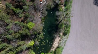 Luftaufnahme idyllisches Naturschutzgebiet bei Grafing b. Eine Kette klarer Weiher, hakem von Gruener Fruehlingsnatur, mükemmel kürk Gezgini ve Naturfreunde. Spiegelweiher. 