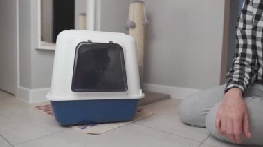 Kadın İskoç kedisiyle nazikçe oynuyor, kediyi evdeki örtülü çöp kutusundan dışarı çekiyor. Sahne, sorumlu hayvan bakımı, modern kapalı kedi tuvalet tasarımı ve evcil hayvanlarla geçen günlük hayatı gösteriyor.